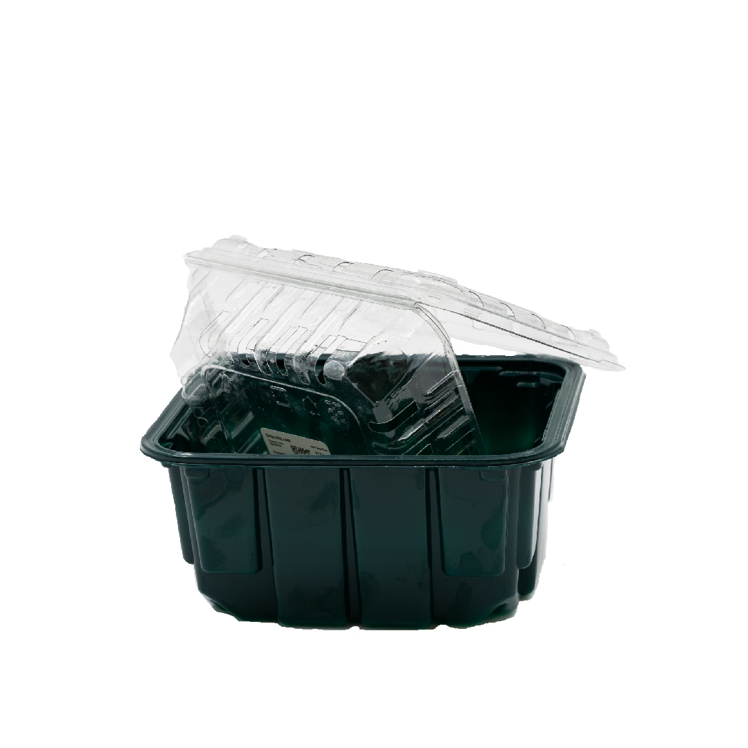 Barquette de plastique
