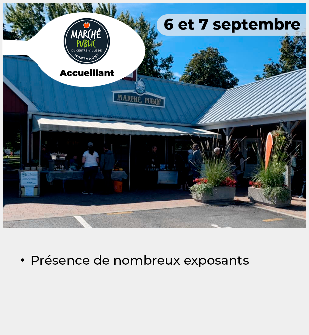 005 - Vignette MarchePublic