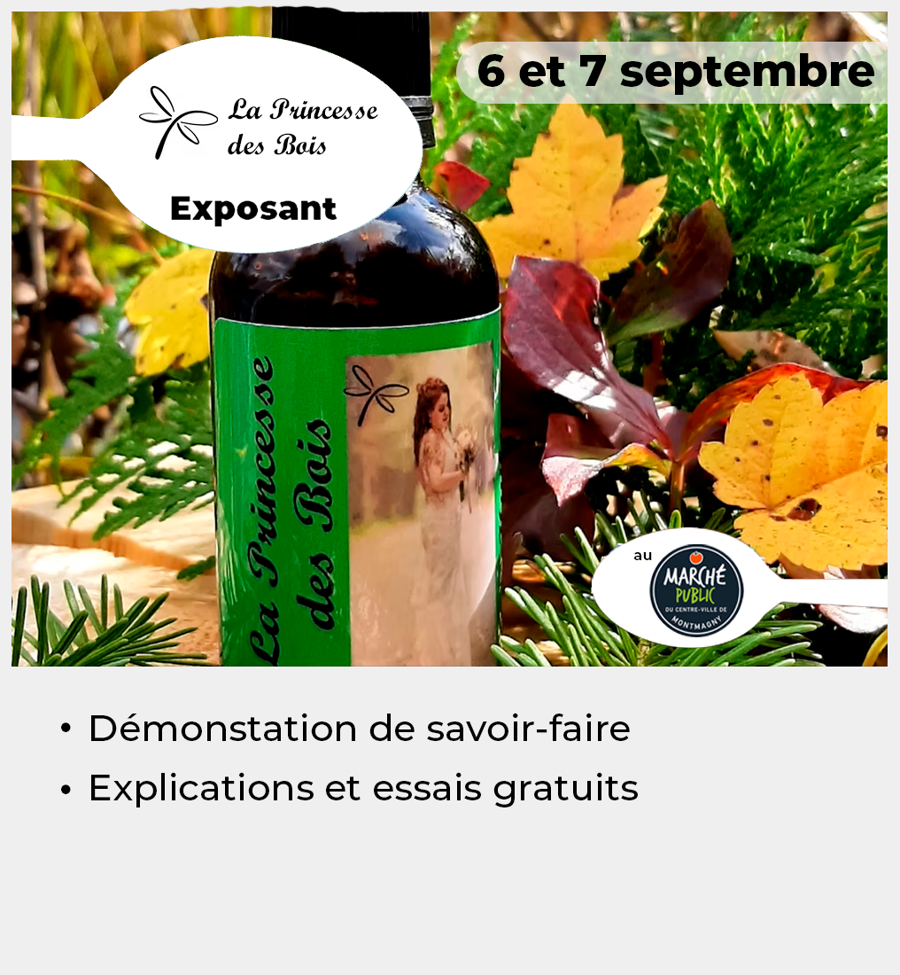 010 - Vignette Princesse