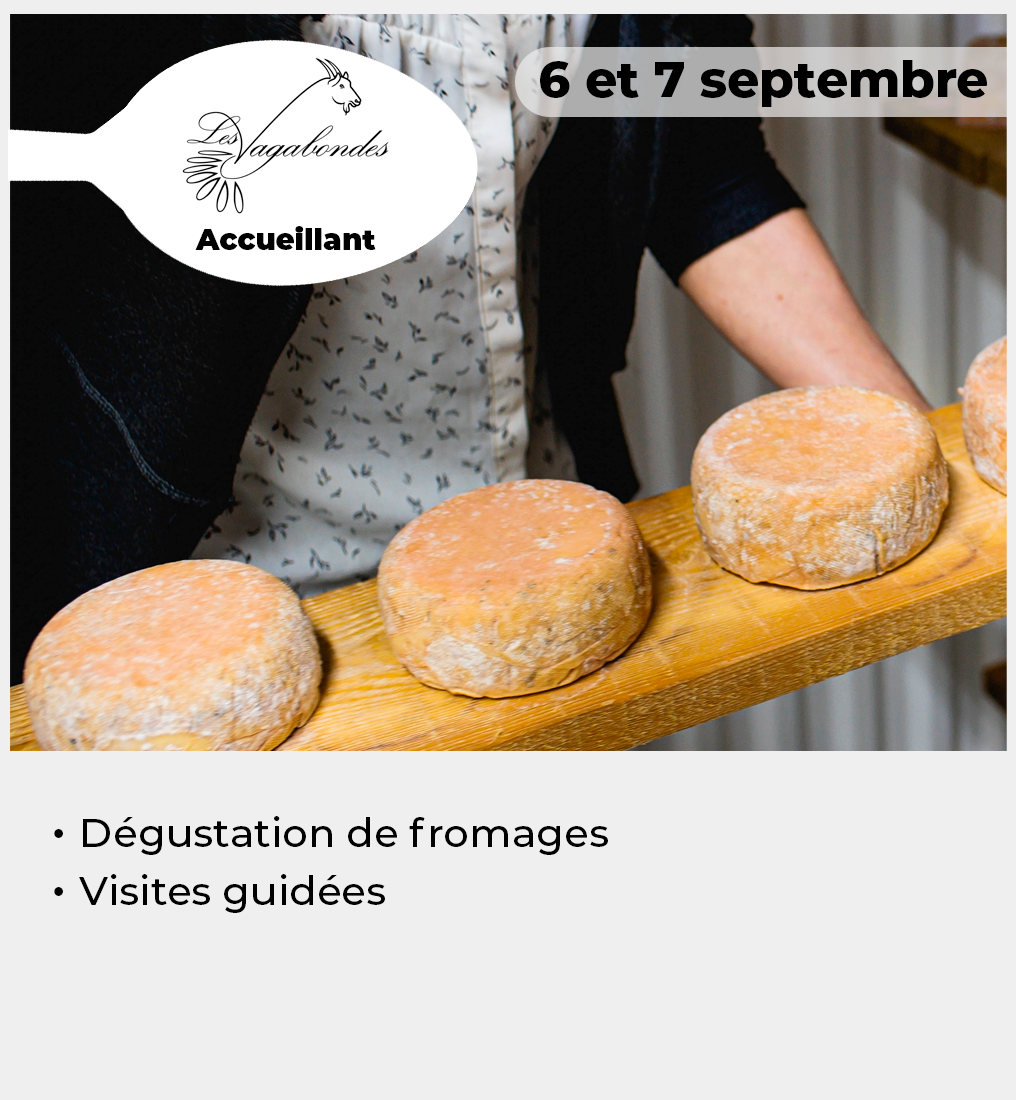 014 - Vignette Vagabondes