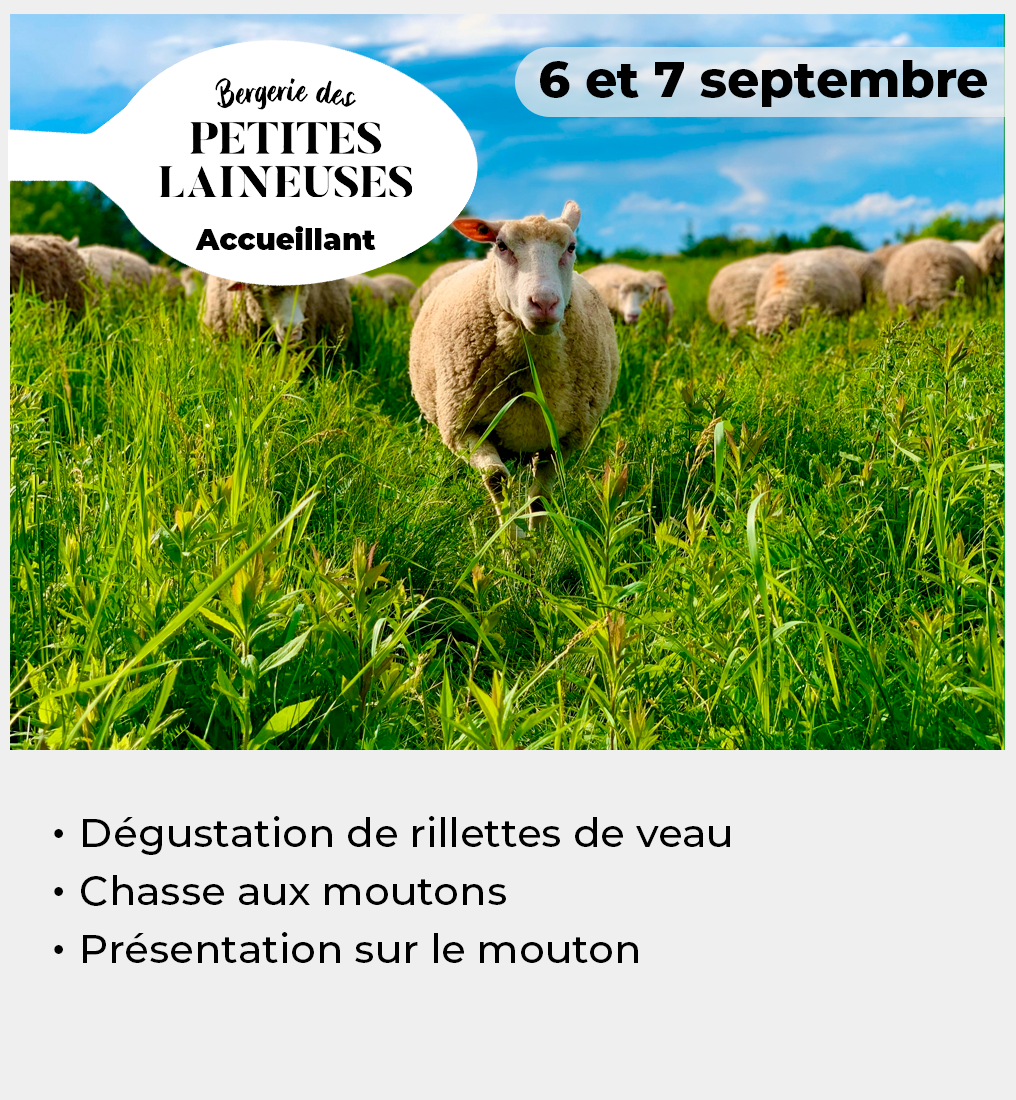 015 - Vignette laineuses