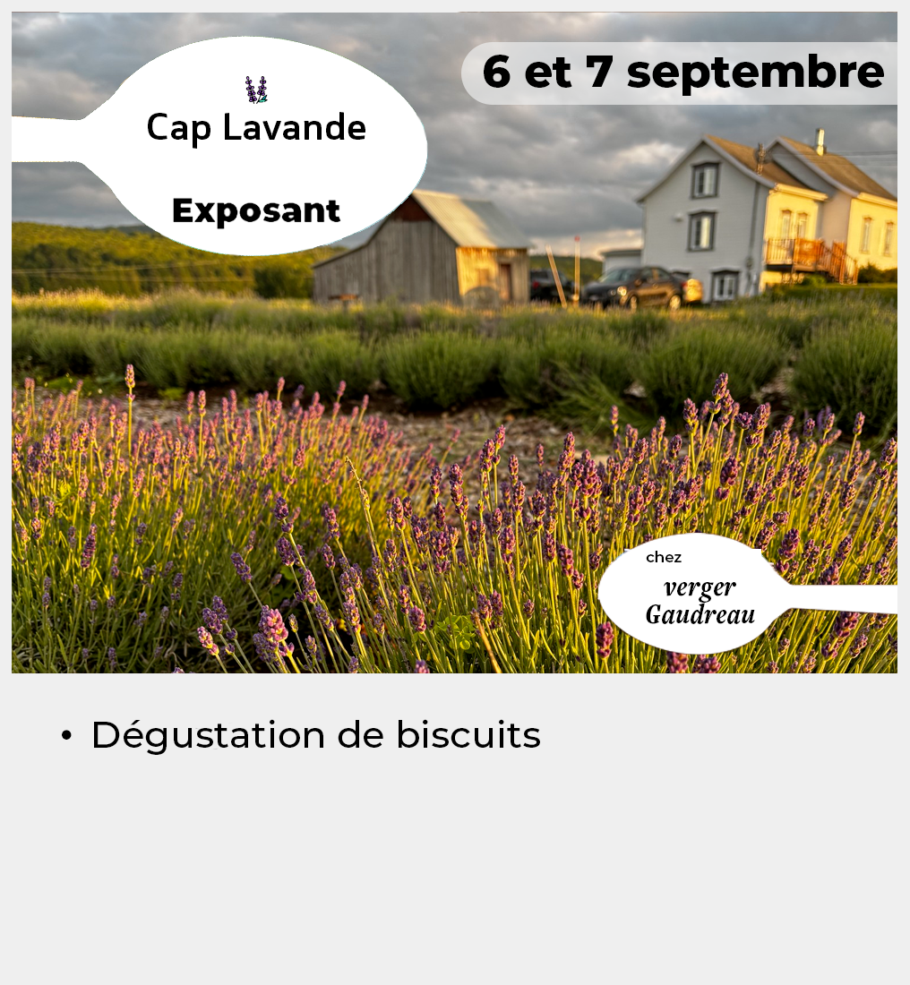 018 - Vignette CapLavande