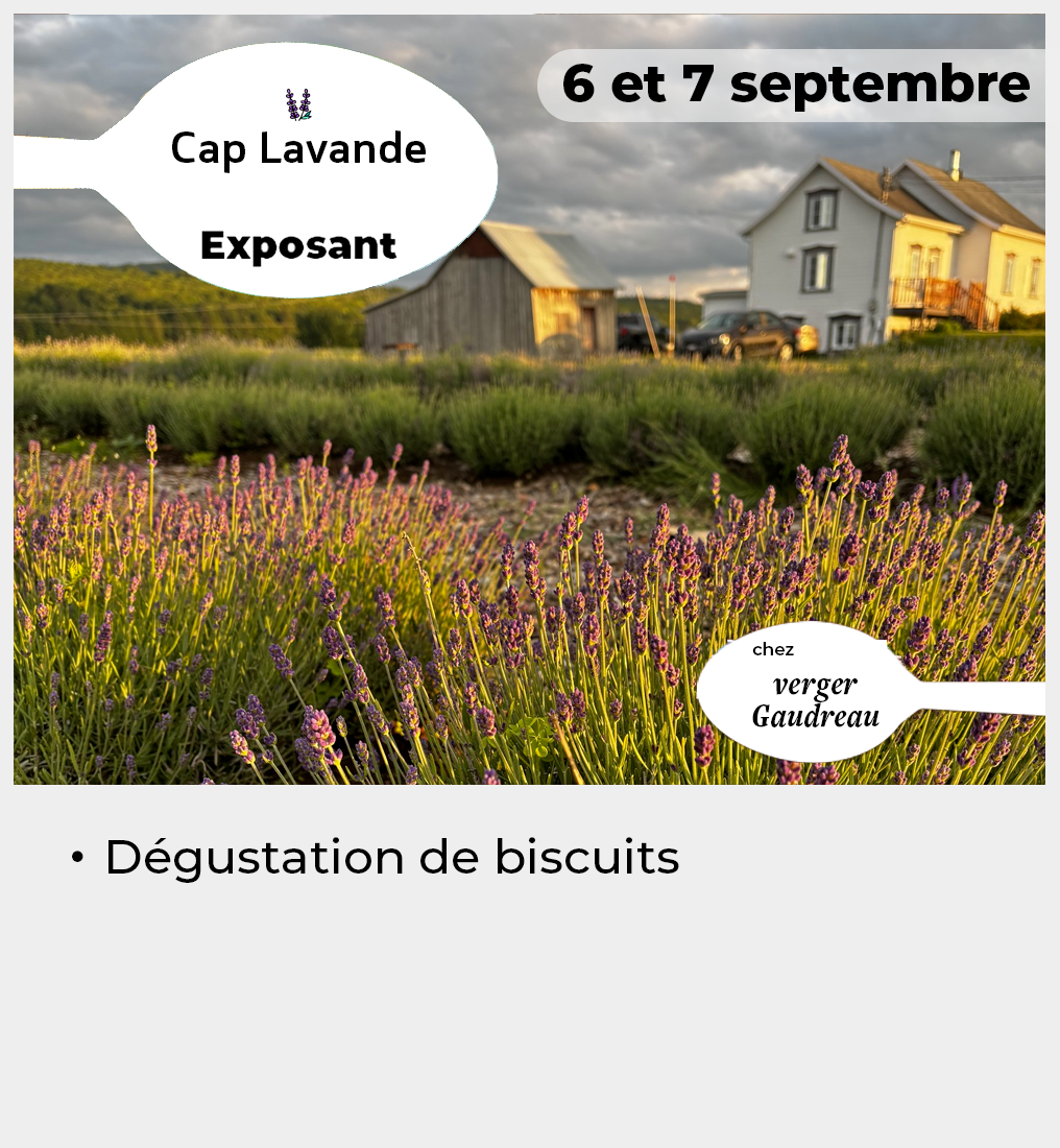 018 - Vignette CapLavande