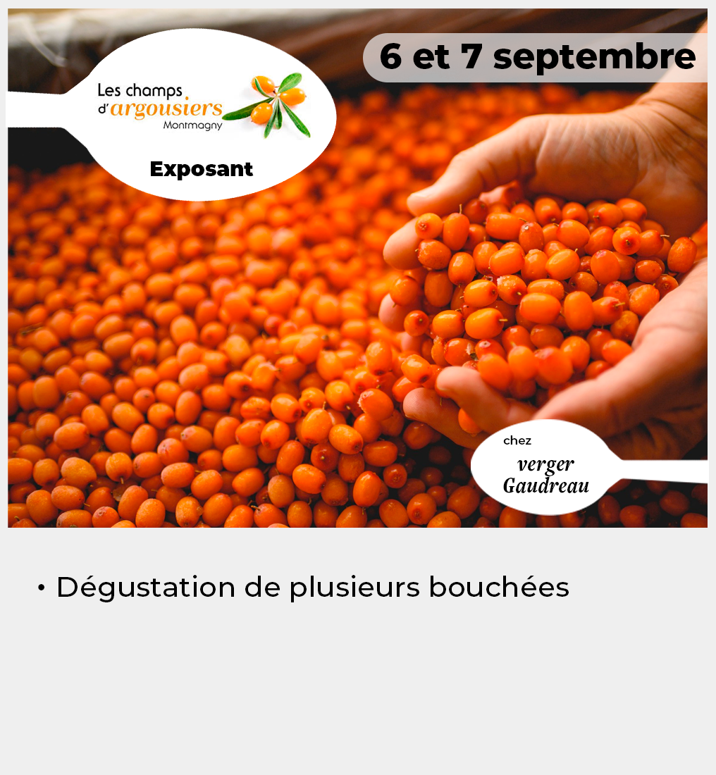 019 - Vignette Argousiers