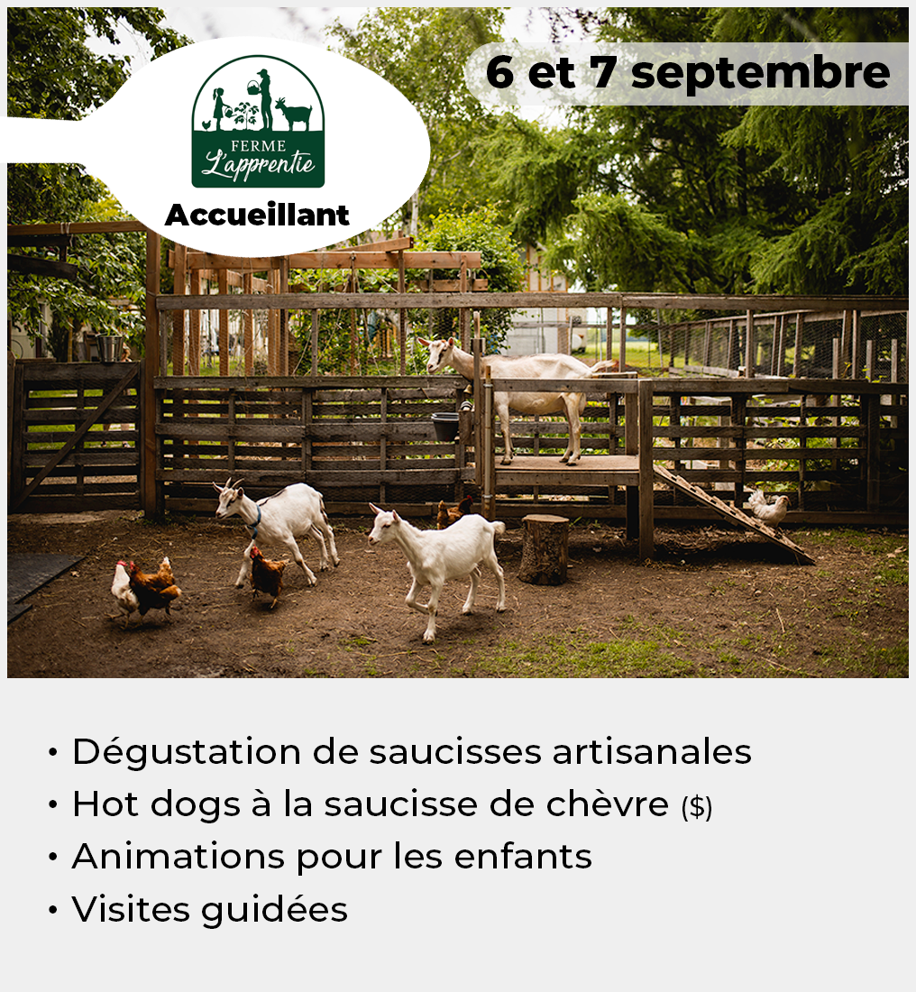 023 - Vignette Apprentie VF