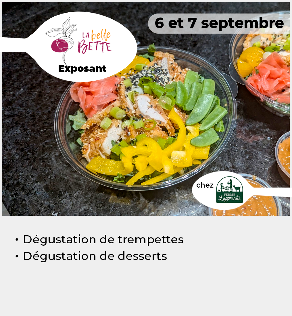 024 - Vignette BelleBette VF