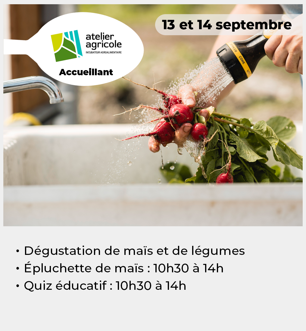 026 - Vignette Atelier