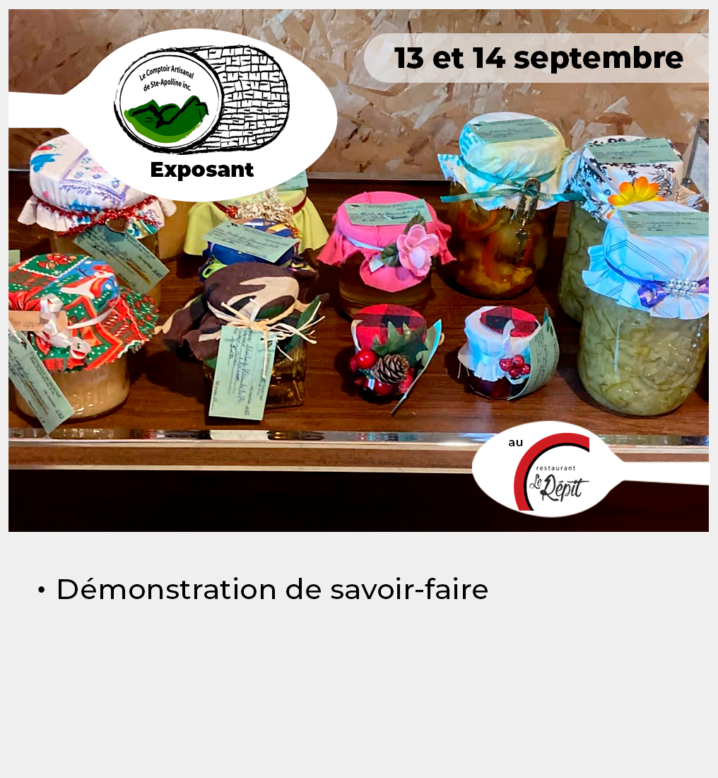 Comptoir artisanal de Ste-Apolline-de-Patton