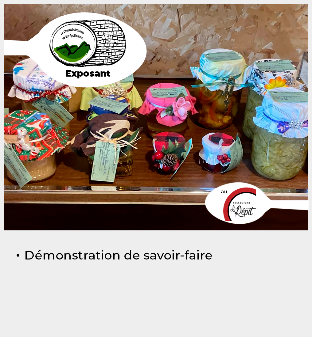 Comptoir artisanal de Ste-Apolline-de-Patton