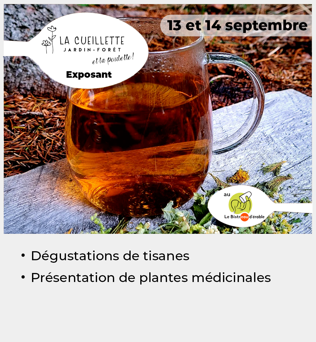 Vignette La Cueillette