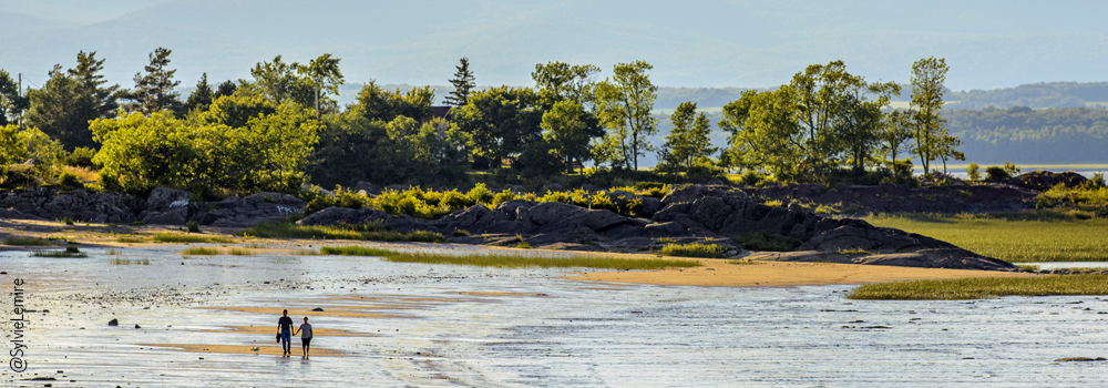 VoirLesOiesBerthierPlage