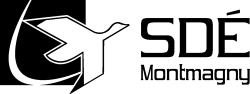 SDEM nouveau logo 2019_noir_HORIZONTAL